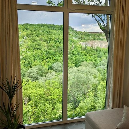 Villa Сottage "Family Estate" à Kamianets-Podilsky Extérieur photo